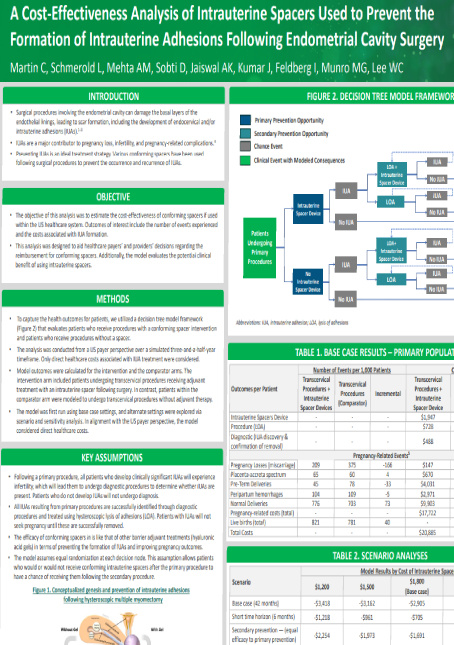 A Cost-Effectiveness Analysis of Intrauterine Spacers Cover Image