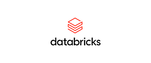databricks-partner-logo
