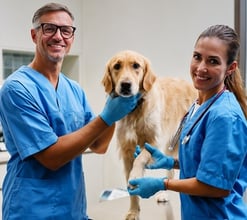 Navigating Sales Crediting in Animal Health