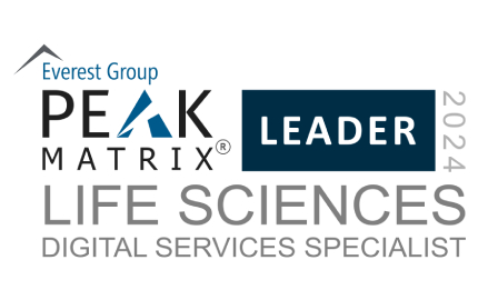 PEAK Matrix Assessment 2024