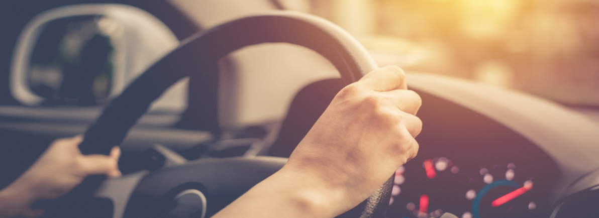 Telematics with clear strategy and a commitment to invest in IT infrastructure