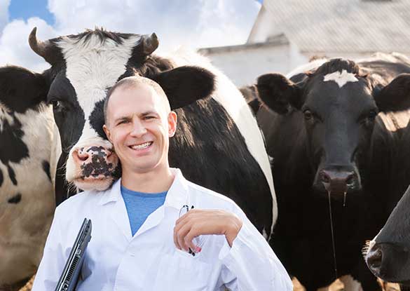 Aligning Sales to the Field Force White Paper