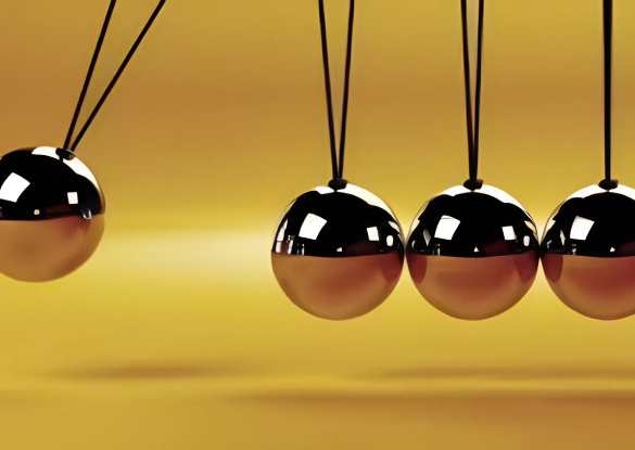 seeing the whole elephant